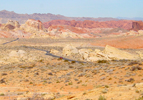  Shelby Bash Vegas Poker Run